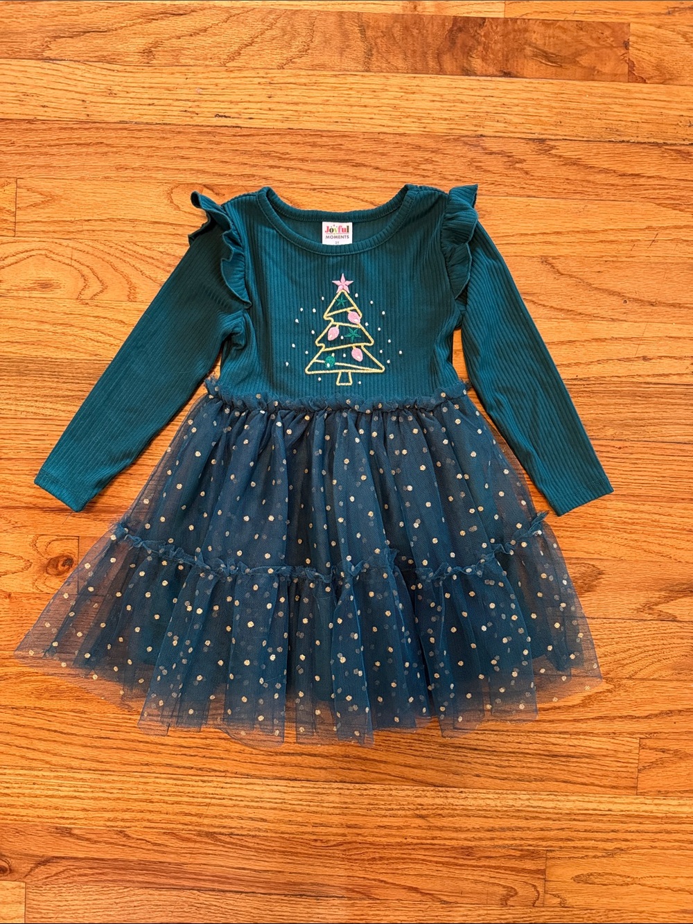 Teal Tulle Holiday Dress for Girls